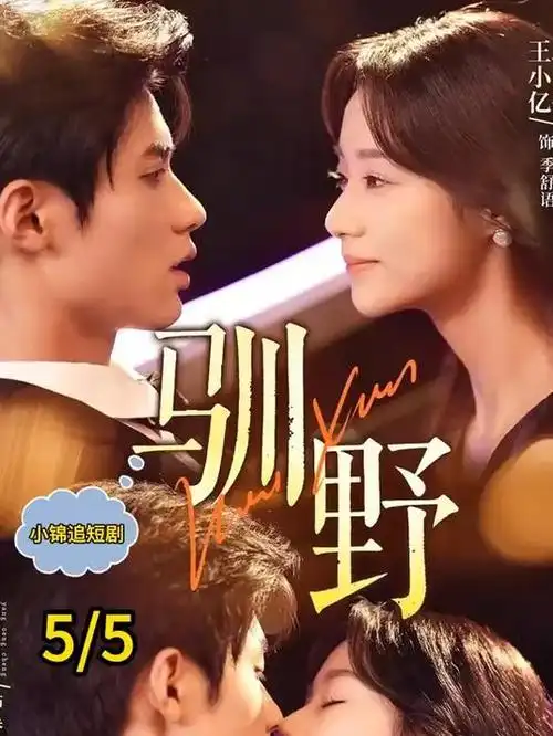 归途列车年代剧海报